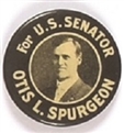 Spurgeon for Senator, Iowa