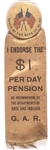 GAR Pension Pin and Ribbon