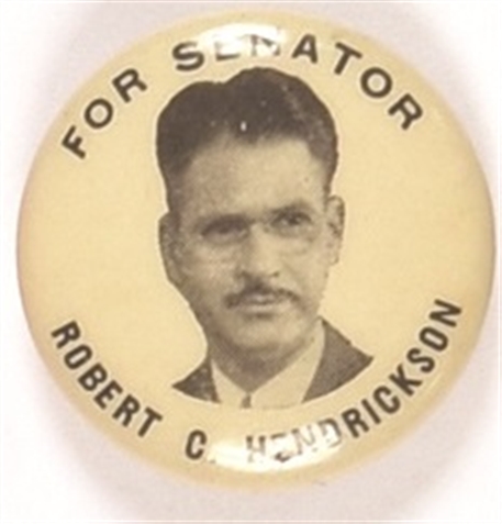 Hendrickson for Senator, New Jersey