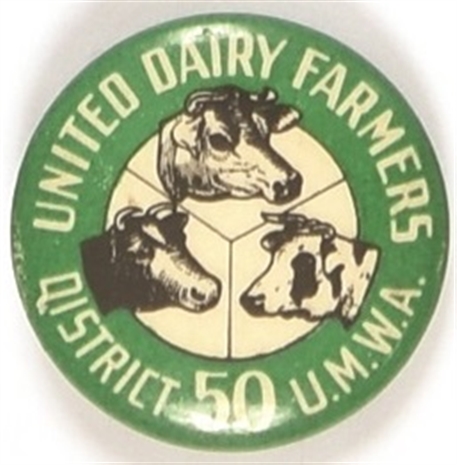 United Dairy Farmers UMWA Cows Celluloid