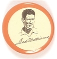 Ted Williams Pinback