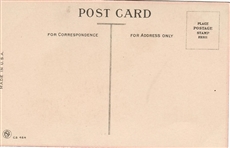 Votes for Women Cartoon Postcard