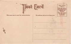 Suffragette Electioneering