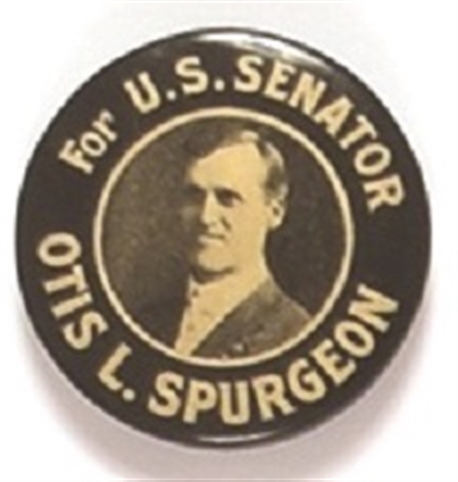 Spurgeon for Senator, Iowa