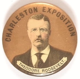 Roosevelt Charleston Exposition