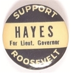 Roosevelt, Hayes Connecticut Coattail