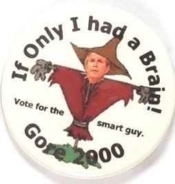 Anti Bush If I Only Had a Brian