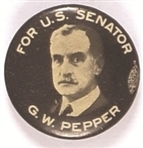 Pepper for Senator, Pennsylvania
