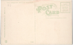 NY State Fair 1915 Suffrage Postcard