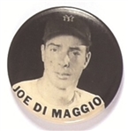 Joe DiMaggio of the Yankees