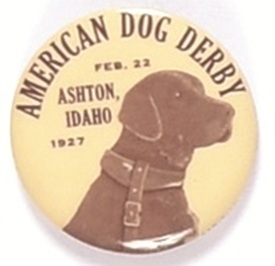American Dog Derby