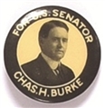 Burke for Senator, South Dakota
