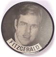 Fitzgerald and Levin Michigan Flasher