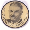 Staebler and Swanson Michigan Flasher