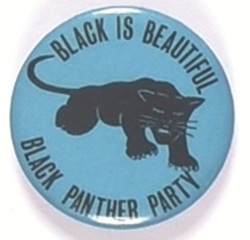 Black Panthers Black is Beautiful
