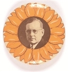 Landon Sunflower Celluloid