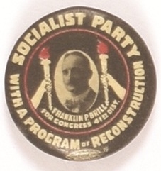 Brill for Congress New York Socialist