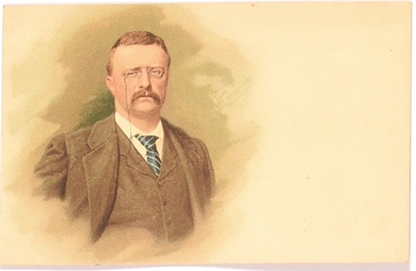 Roosevelt Portrait Postcard