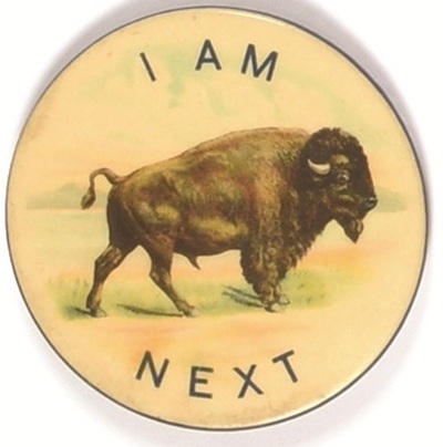 Buffalo I Am Next