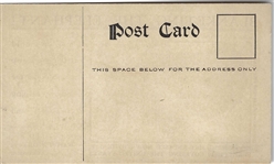Taft/Hadley Blanketing the Elephant Postcard